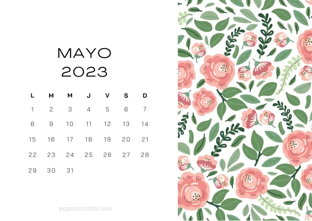 Calendario mayo 2023 horizontal con rosas sobre fondo blanco