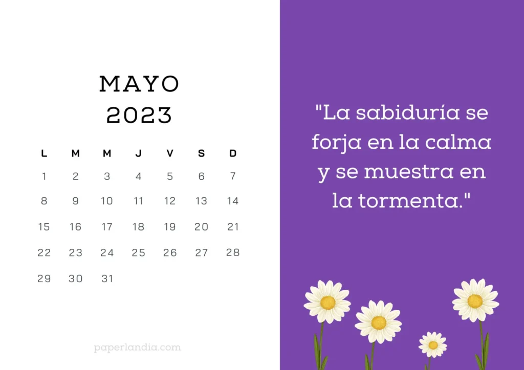 Calendario mayo 2023 horizontal motivacional con fondo morado y margaritas para descargar gratis en pdf