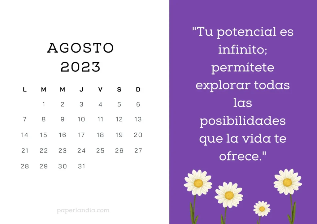 Calendario agosto 2023 horizontal motivacional con fondo morado y margaritas para descargar gratis en pdf