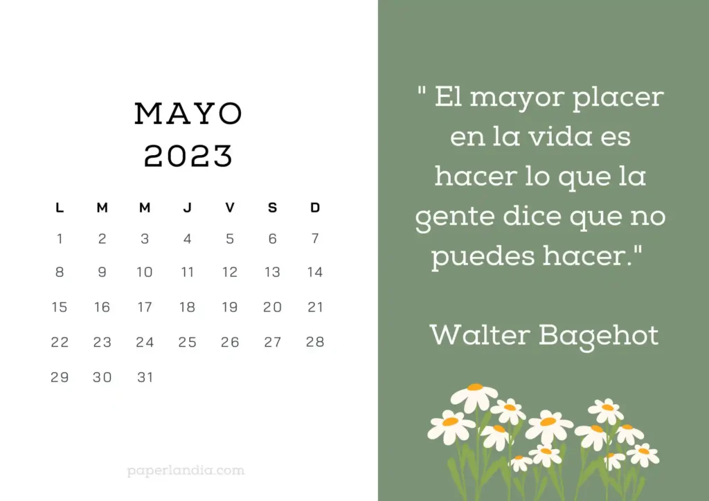Calendario mayo 2023 horizontal motivacional, fondo verde con margaritas
