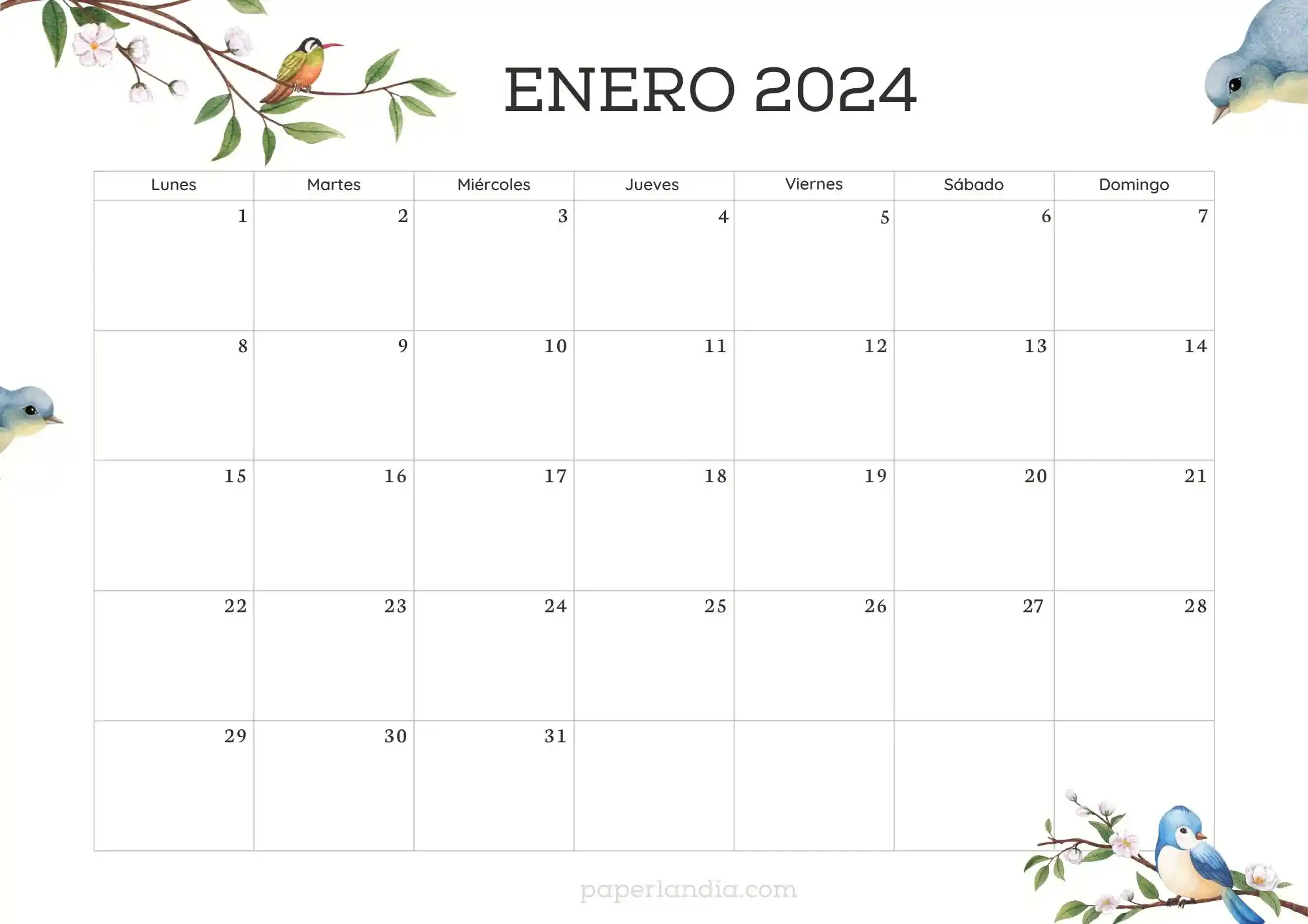 Calendario enero 2024 horizontal con pajaritos