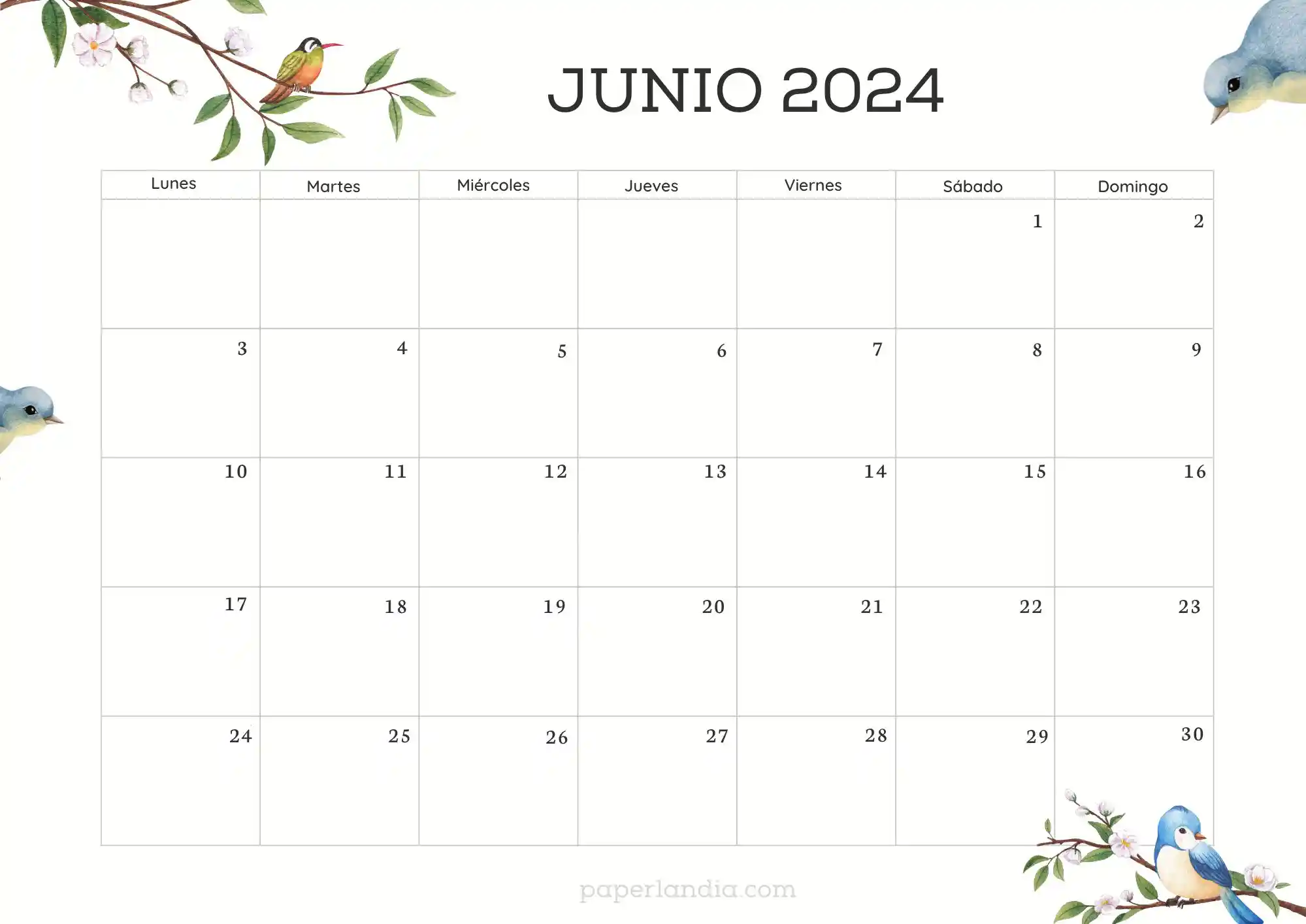 Calendario junio 2024 horizontal con pajaritos