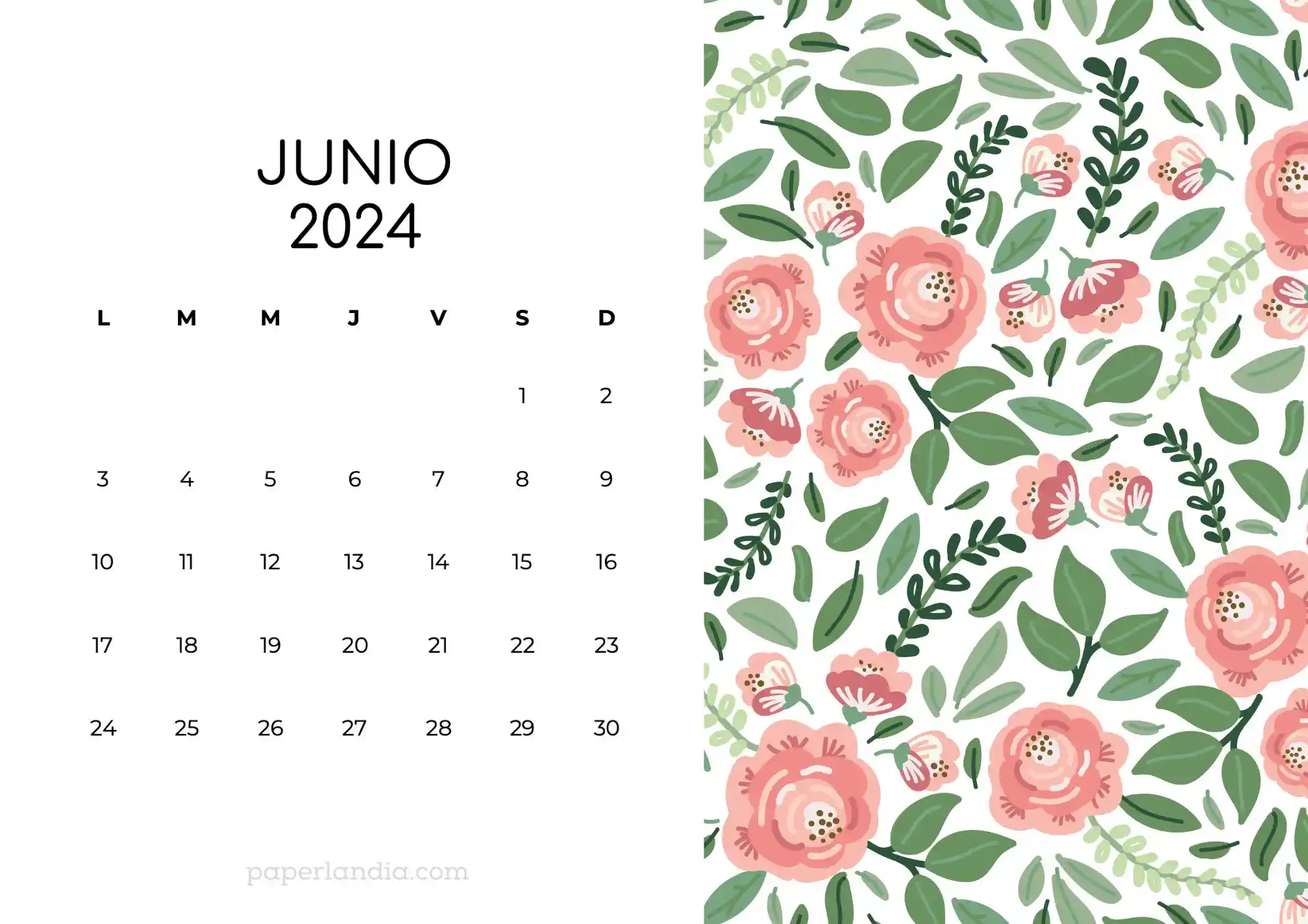 Calendario junio 2024 horizontal con rosas fondo blanco