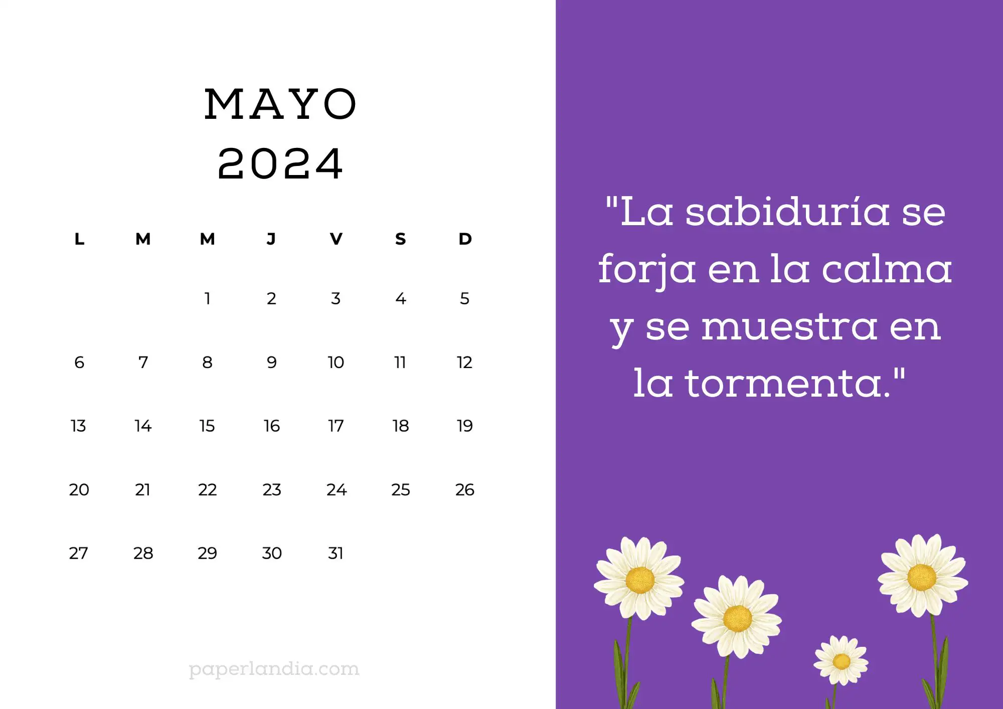 Calendario mayo 2024 horizontal motivacional fondo morado con margaritas