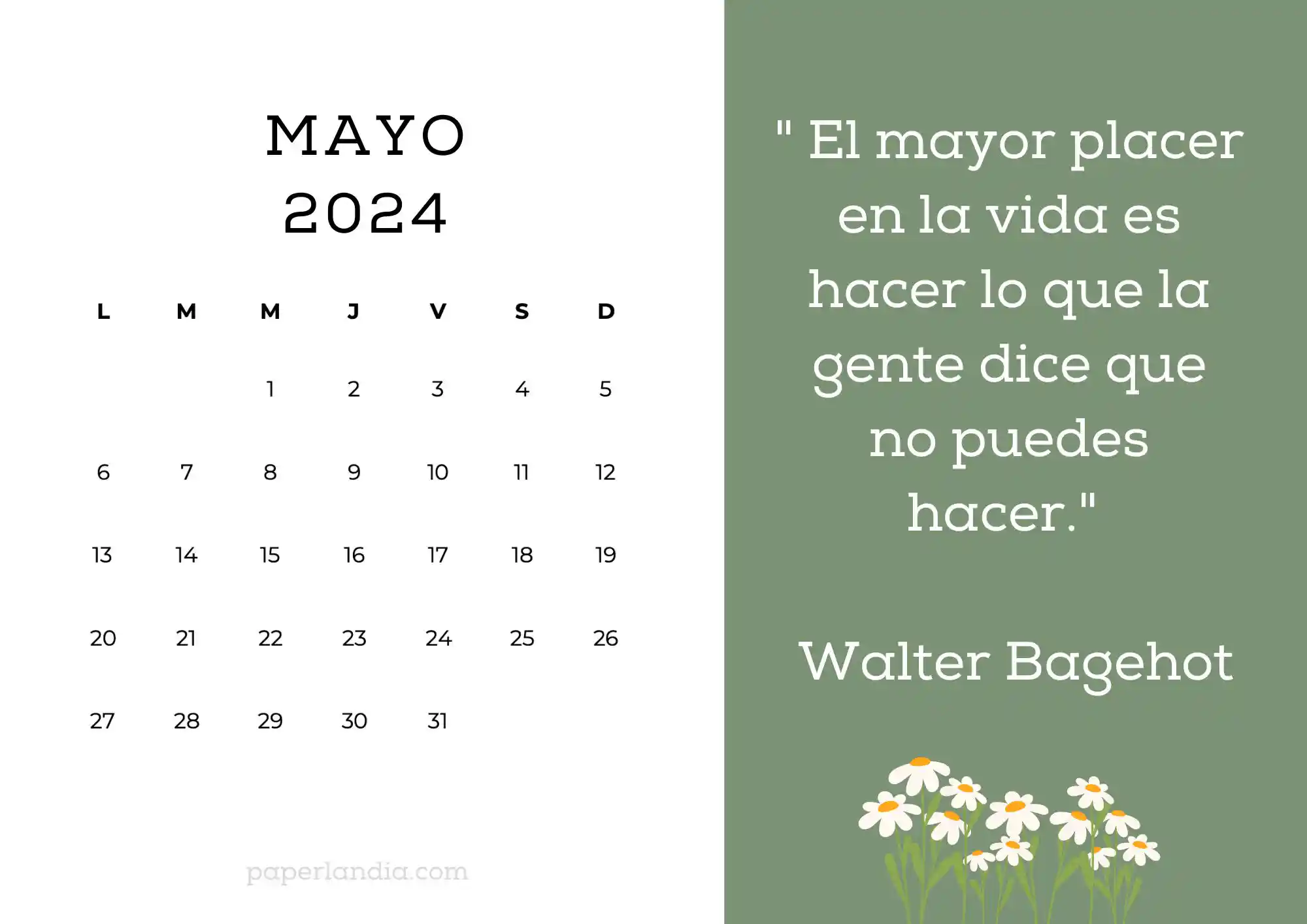 Calendario mayo 2024 horizontal motivacional fondo verde con margaritas