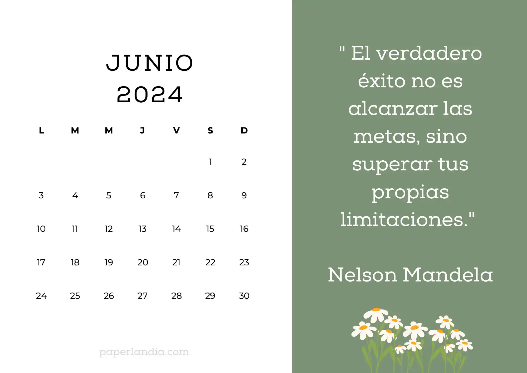 Calendario junio 2024 horizontal motivacional fondo verde con margaritas