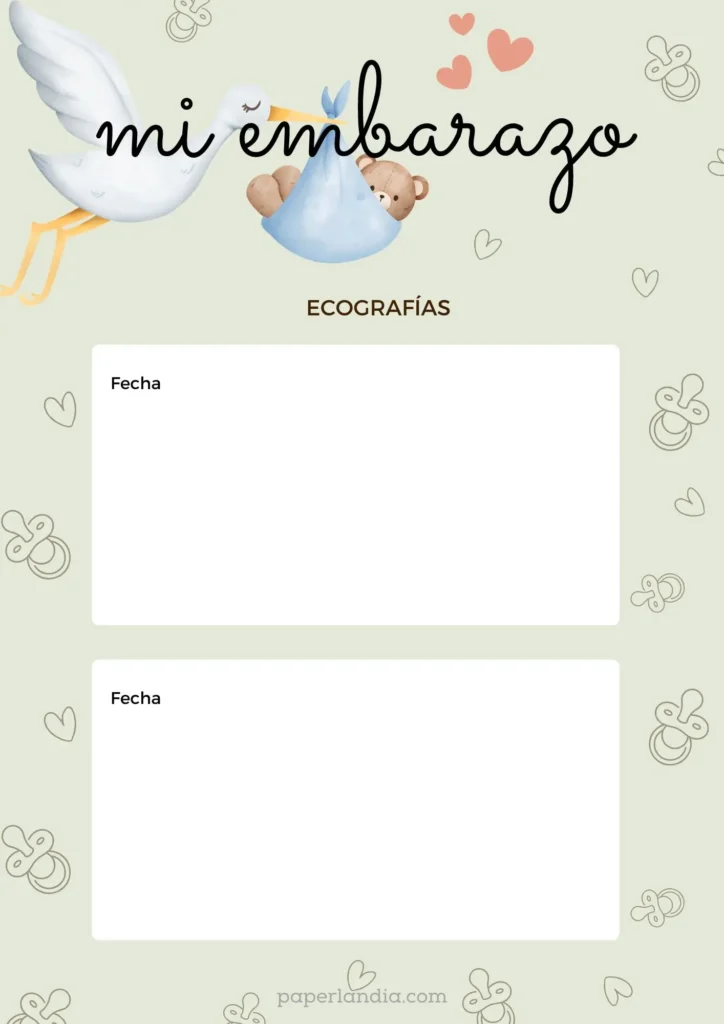 Mi embarazo: ecografías verde V1 08