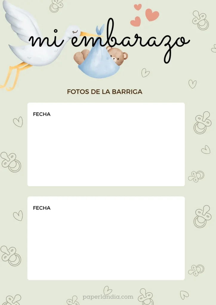 Mi embarazo: fotos de la barriga verde V1 09